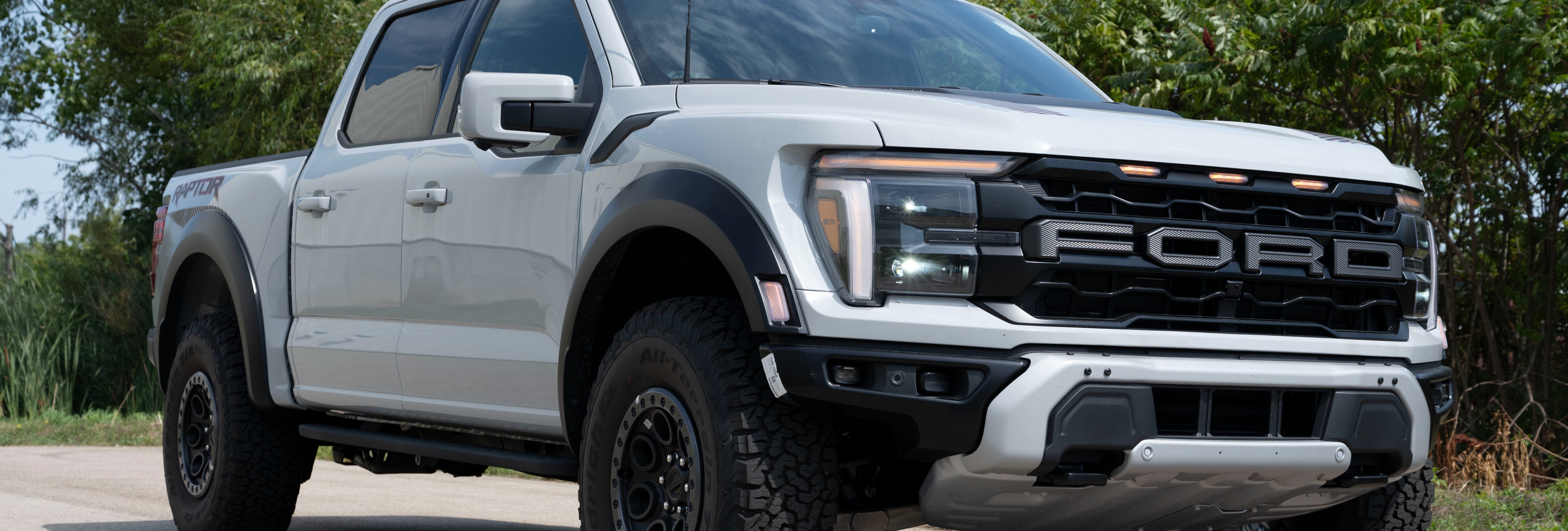 DSC 3059 raptor