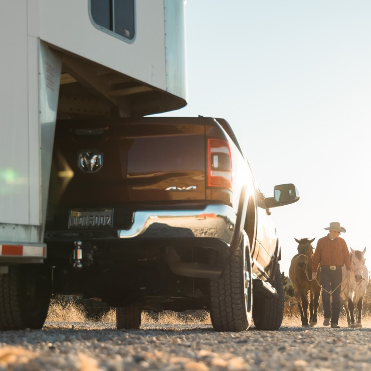 People walking next to horse trailer